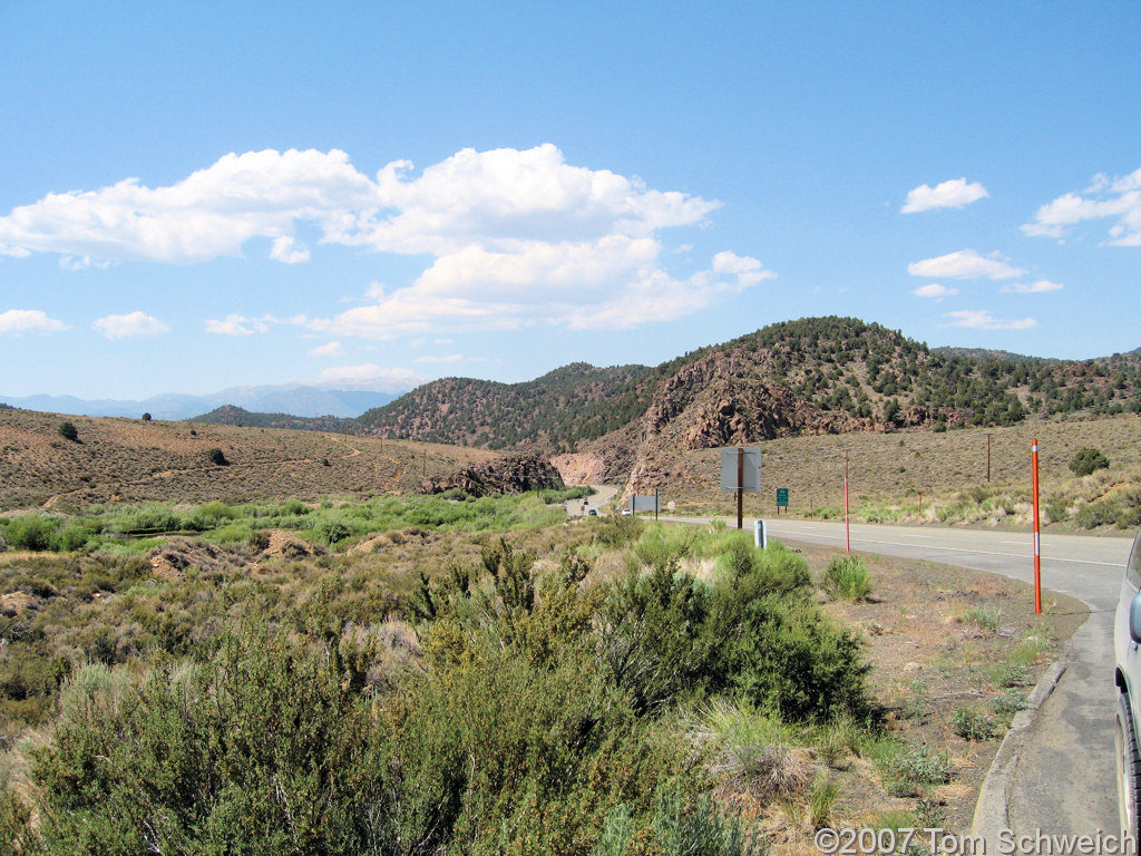 California, Mono County, Dog Town