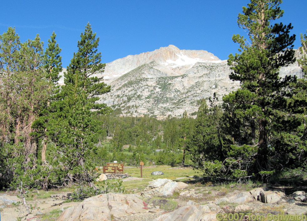 California, Mono County, Harvey Monroe Hall Research Natural Area