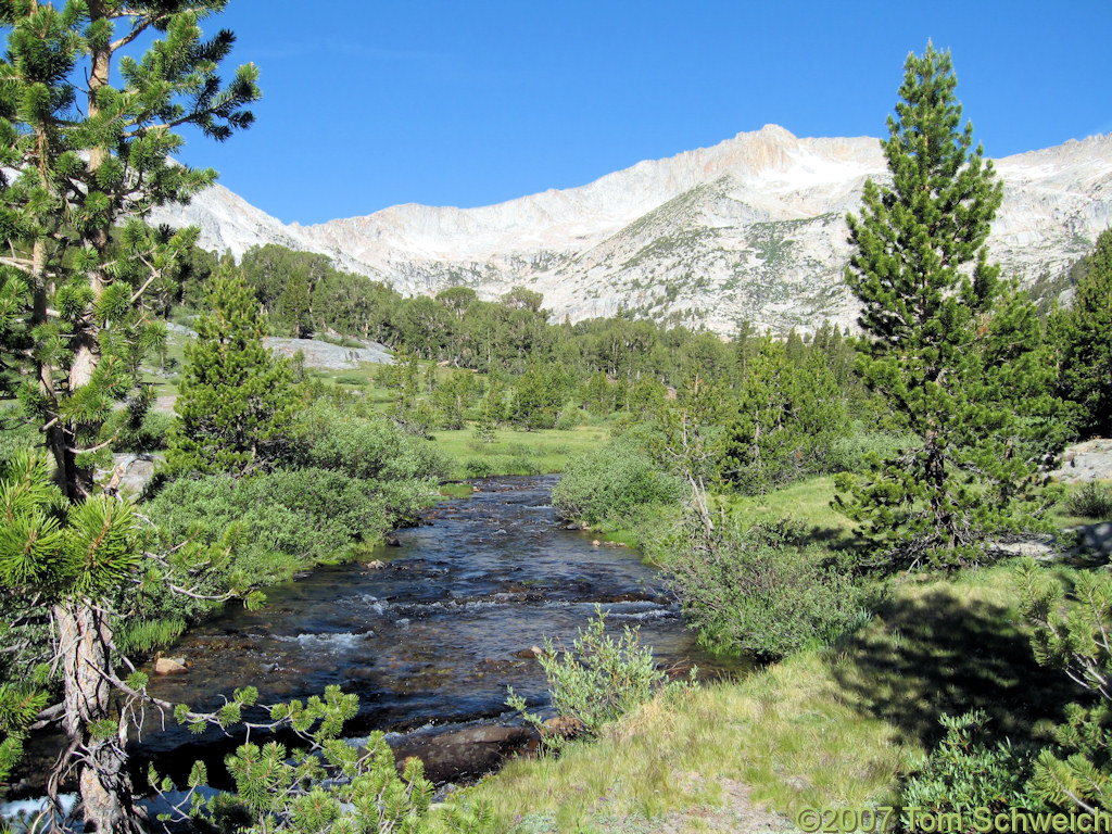 California, Mono County, Harvey Monroe Hall Research Natural Area, Slate Creek