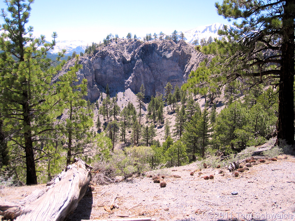 California, Mono County, Mono Craters