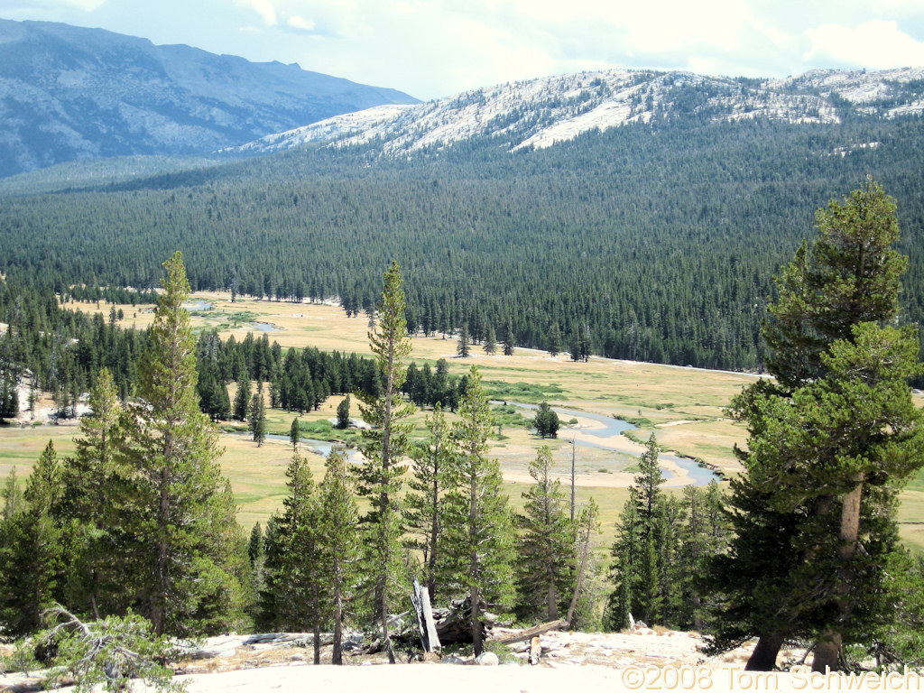 California, Tuolumne County, Yosemite National Park, Tuolumne Meadows