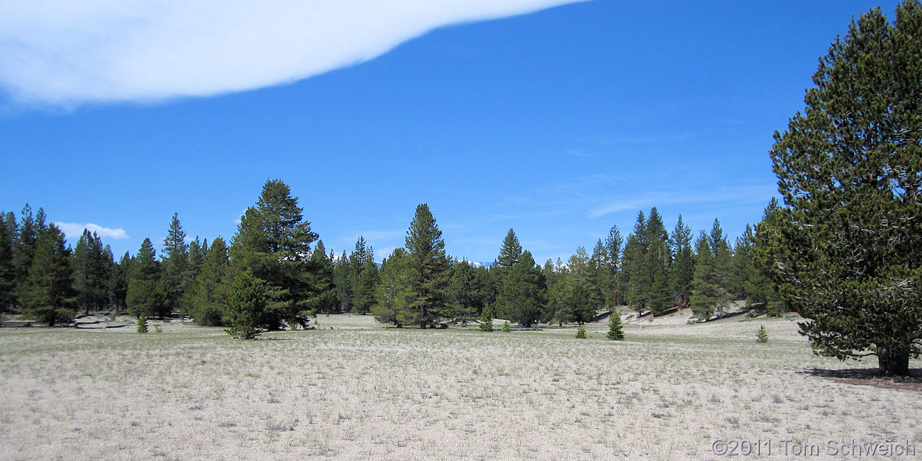 California, Mono County, Mono Mills