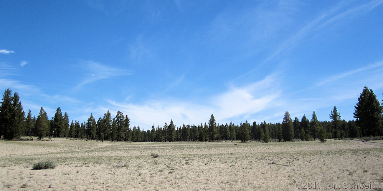 California, Mono County, Mono Mills