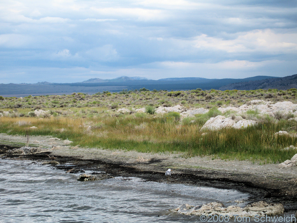 California, Mono County, Mono Lake, Old Marina