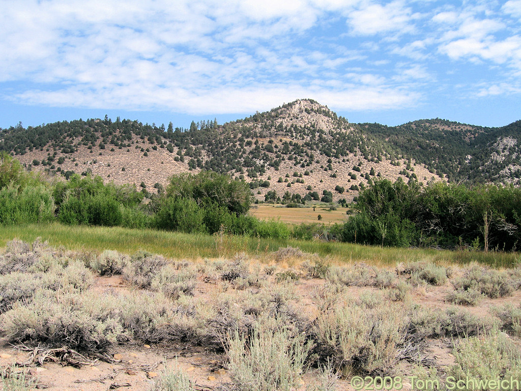 California, Mono County, Bohler Canyon