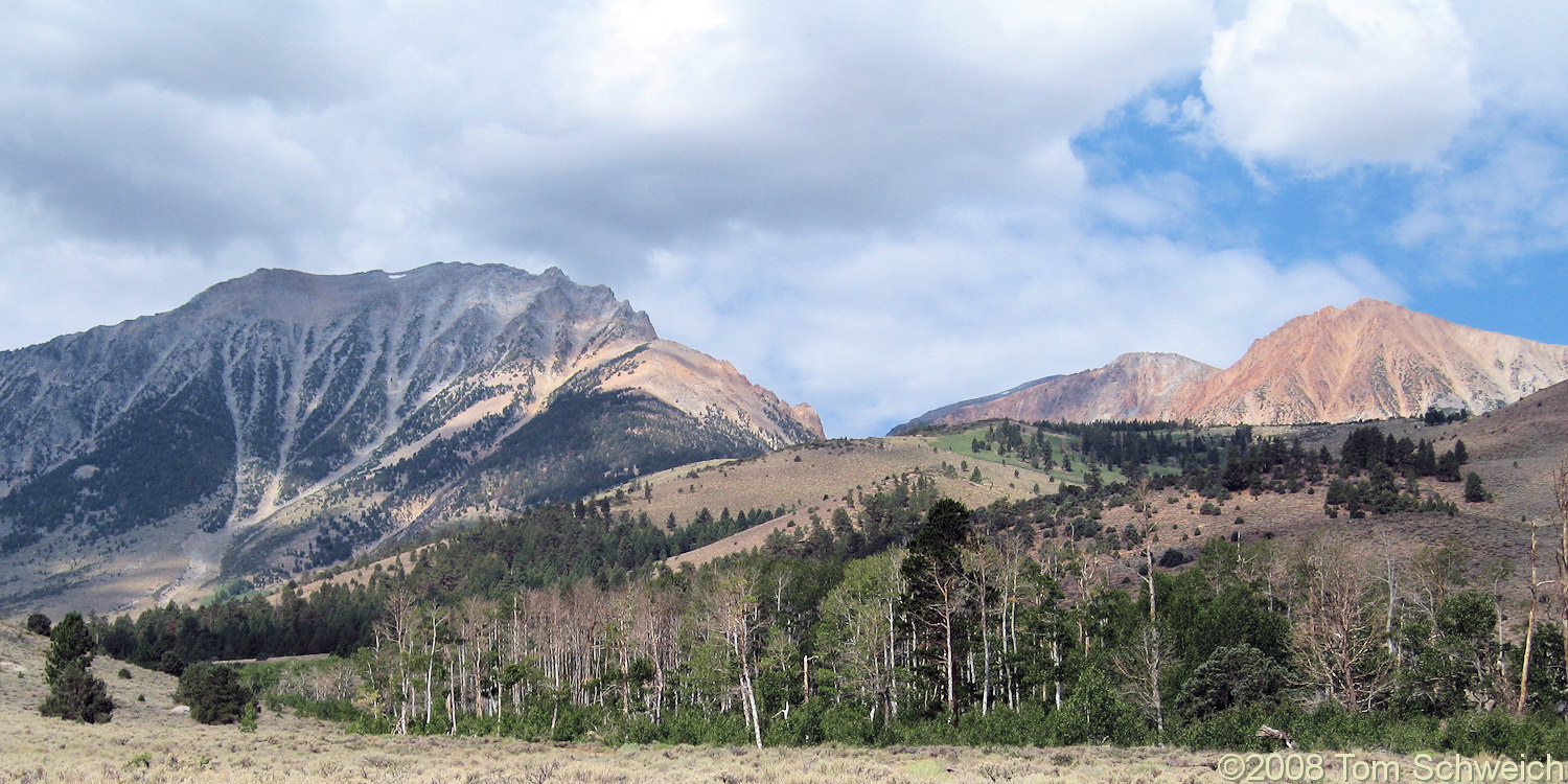 California, Mono County, Bohler Canyon