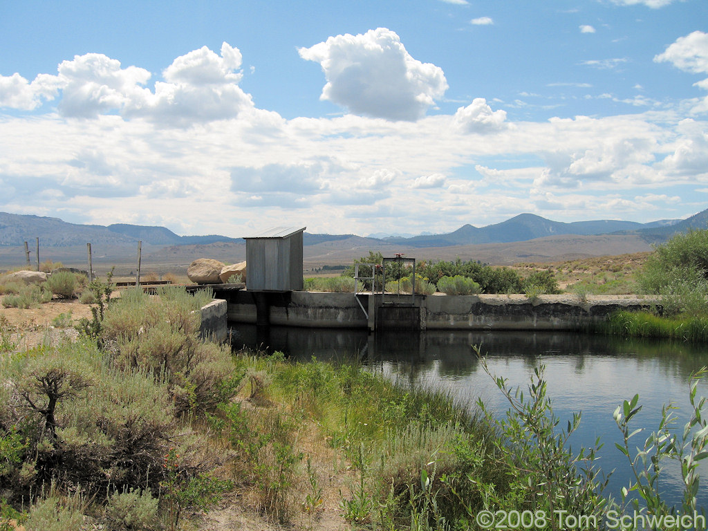 California, Mono County, Walker Creek