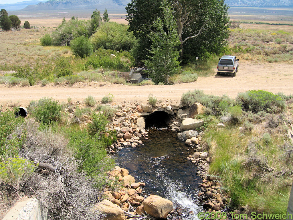 California, Mono County, Walker Creek