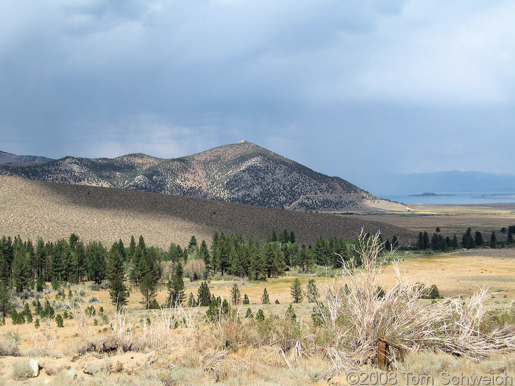 California, Mono County, Parker Creek Drainage, Williams Butte