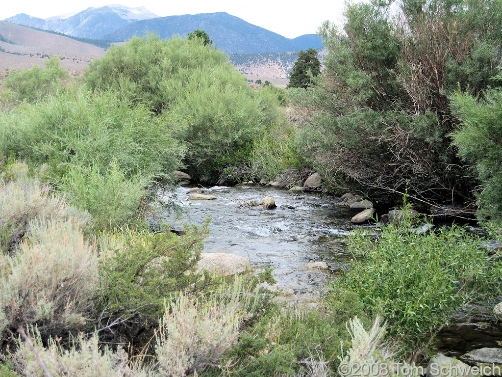 California, Mono County, Rush Creek