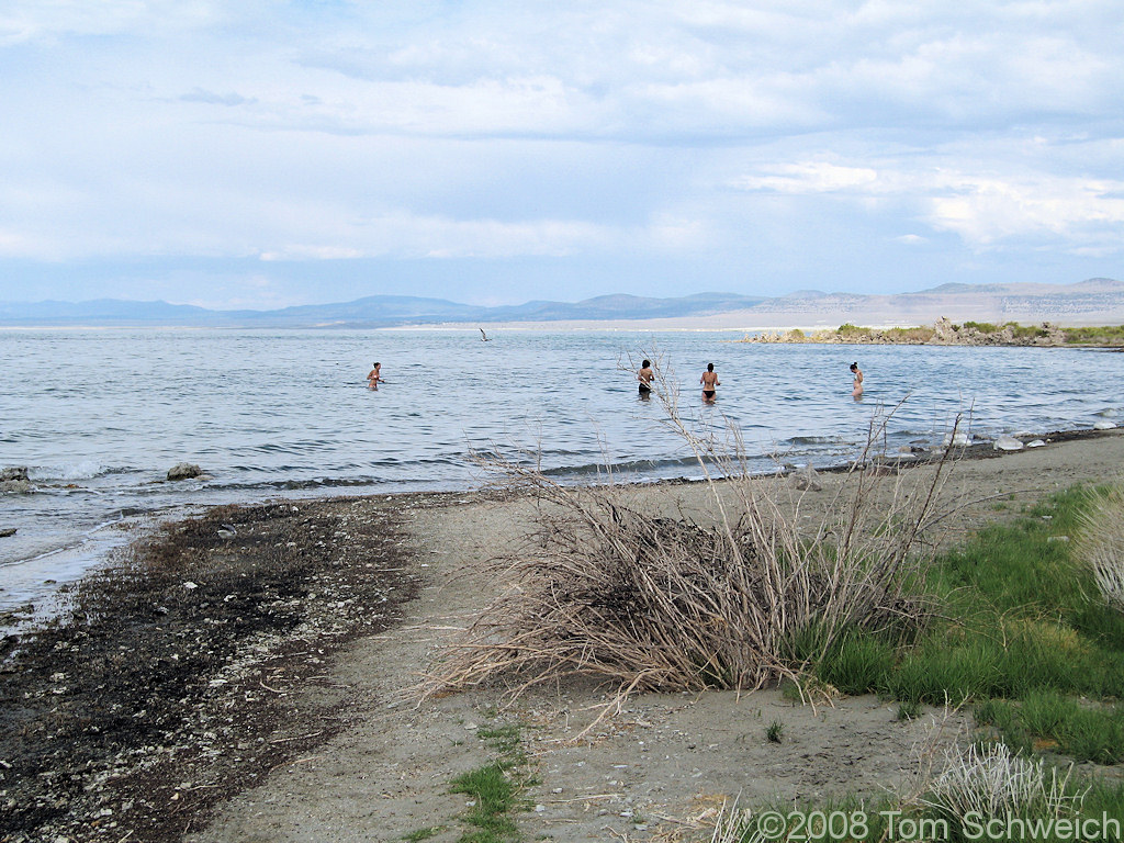 California, Mono County, Mono Lake, Navy Beach