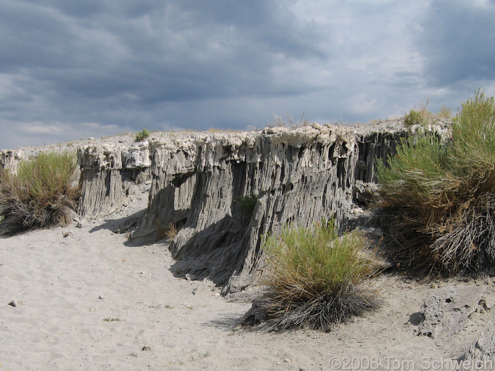 California, Mono County, Mono Lake, Navy Beach, Sand Tufa