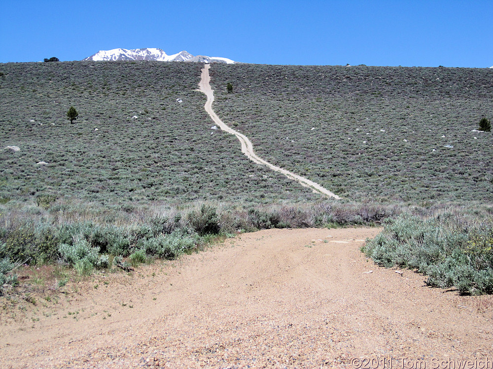 California, Mono County, Horseshoe Canyon, moraine