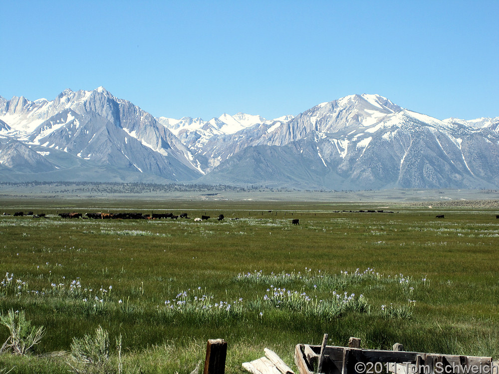 California, Mono County, Long Valley