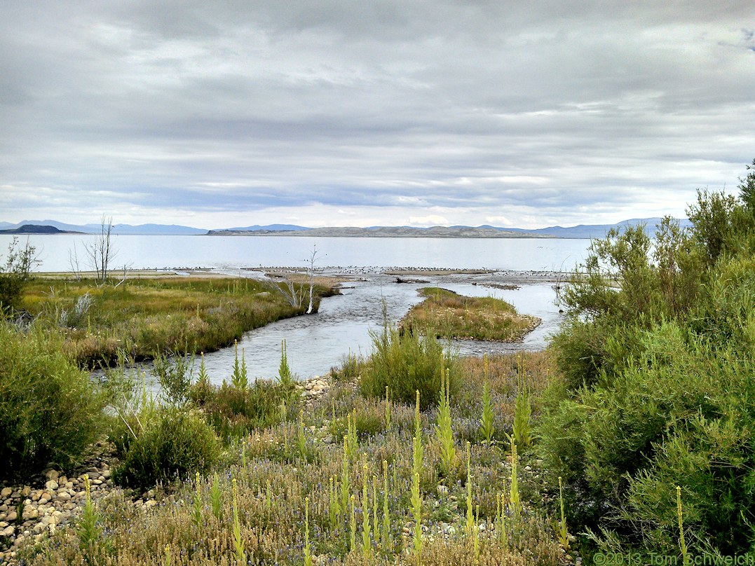 California, Mono County, Lee Vining Creek