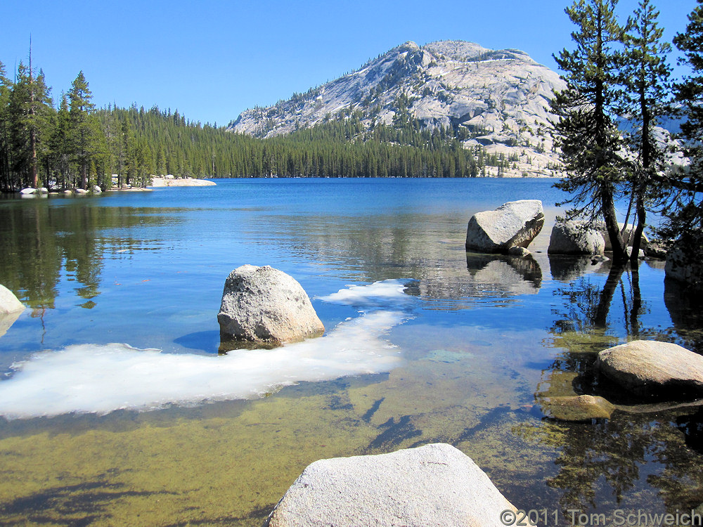 California, Tuolumne County, Tenaya Lake