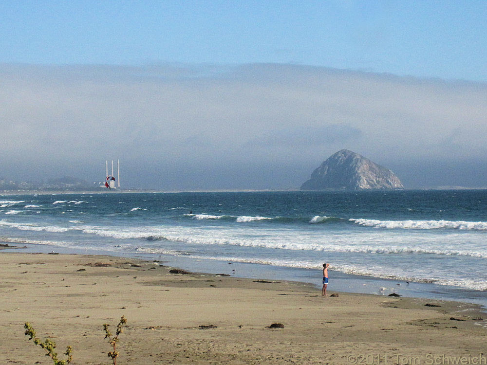 Caliornia, San Luis Obispo County, Cayucos