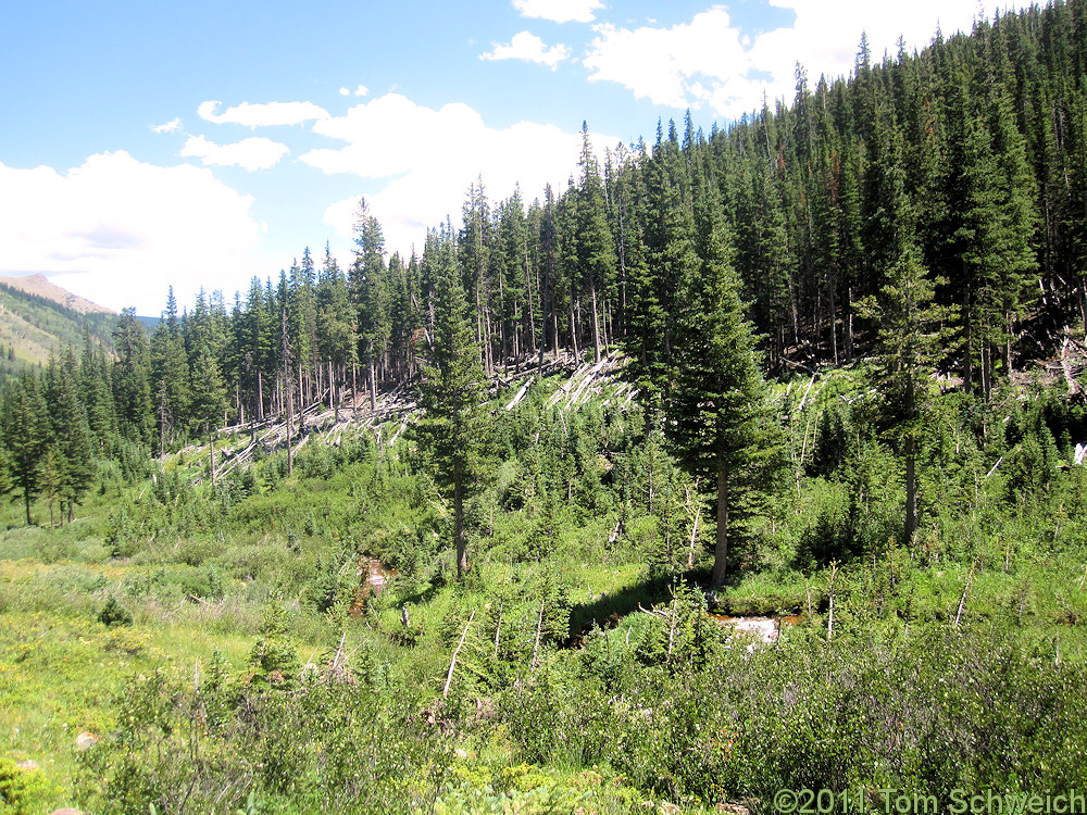 Colorado, Clear Creek County, Geneva Creek