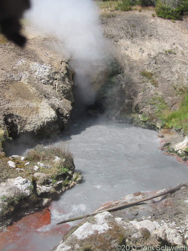 Wyoming, Park County, Mud Volcano