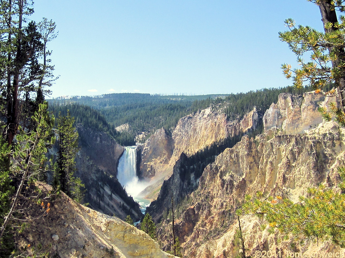 Wyoming, Park County, Lower Yellowstone Falls