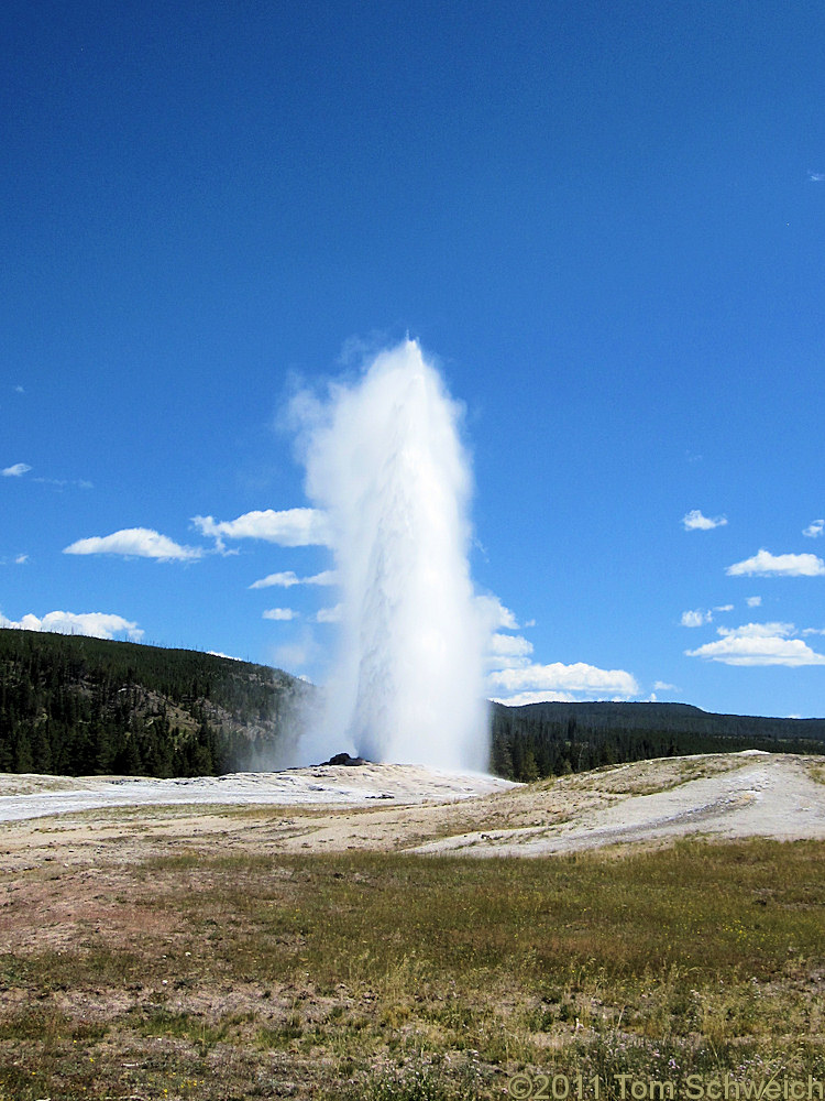 Wyoming, Teton County, Old Faithful