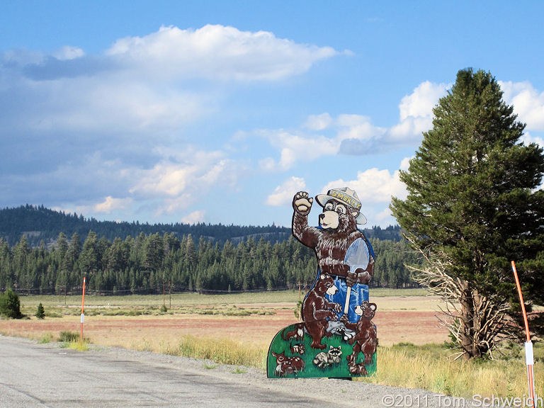 California, Mono County, Smokey Bear Flat