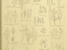 Full Size Image