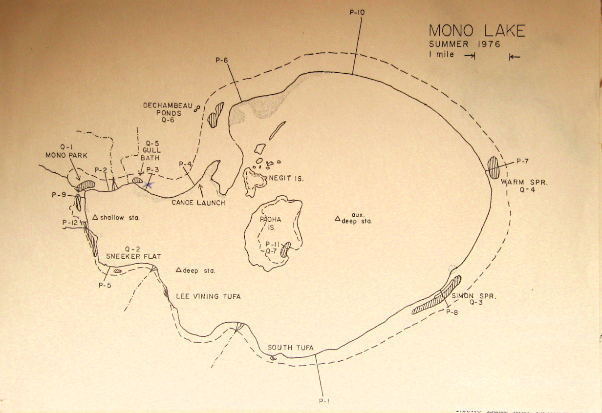 Sketch map of Mono Basin Research Group sites.