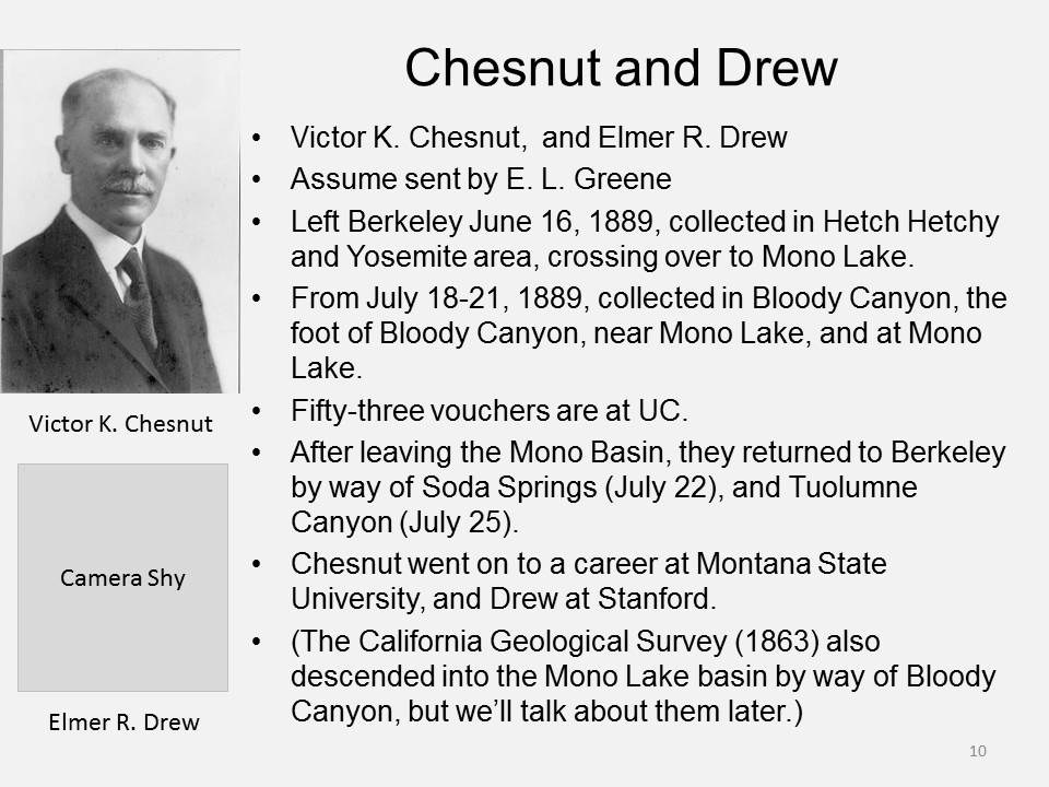 Chesnut and Drew in the Mono Lake basin, 1889.