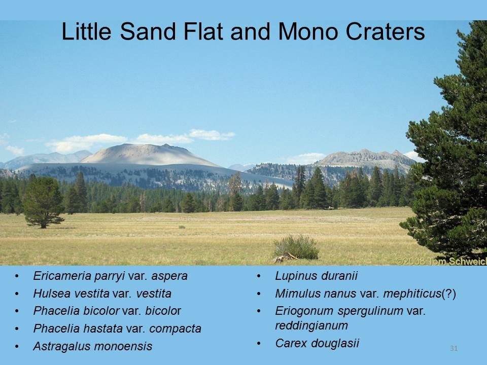 California, Mono County, Little Sand Flat