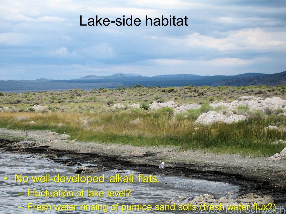 California, Mono County, Mono Lake