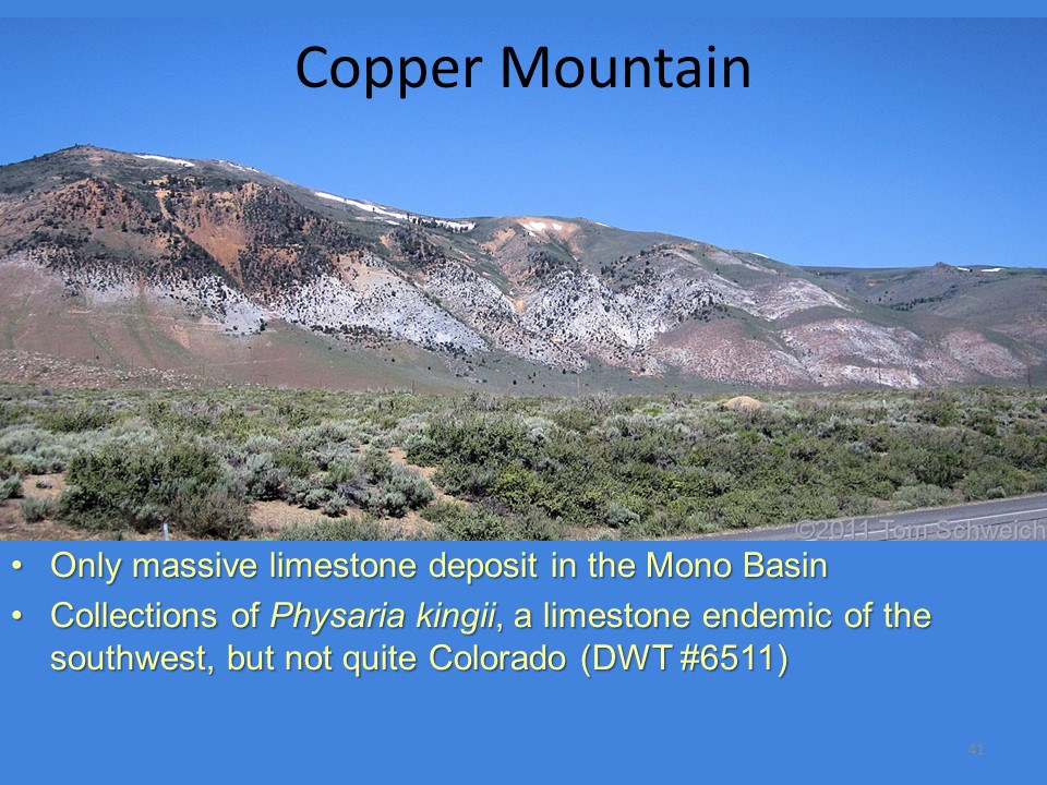 California, Mono County, Copper Mountain