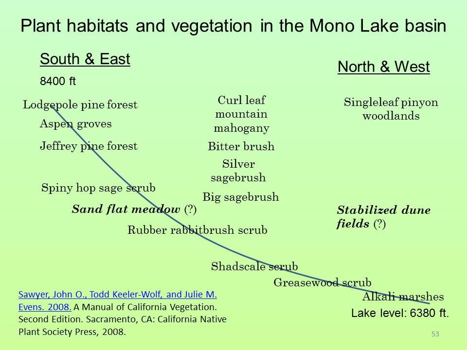 Vegetation types in the Mono Lake basin