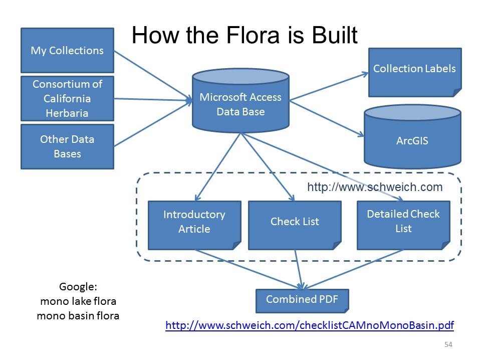 How the Flora is Built
