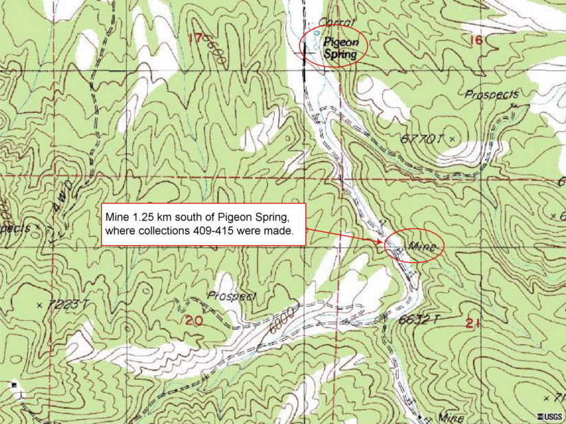 Pigeon Spring, Magruder Mountains, Esmeralda County, Nevada