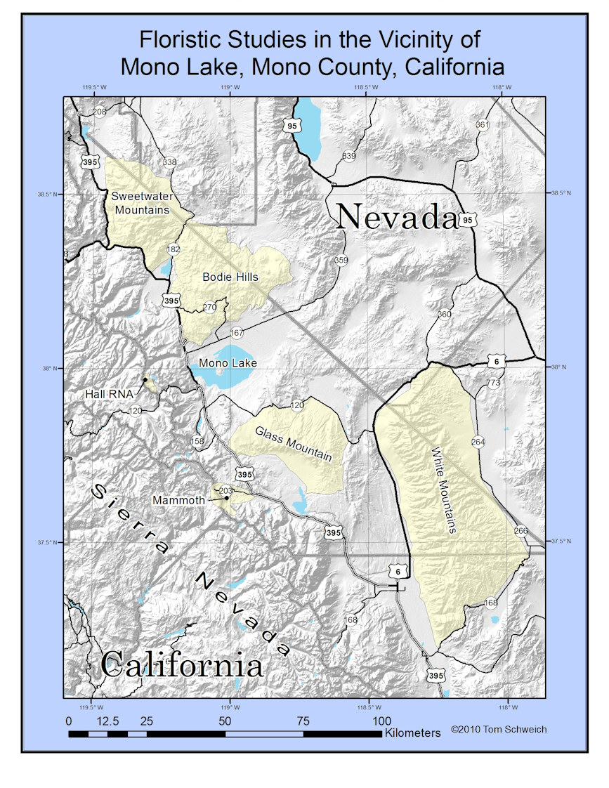 California, Mono County, Mono Basin, Floristic Research