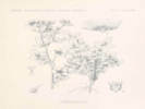 Full Size Image