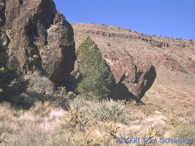 Archeological site SBr-292.