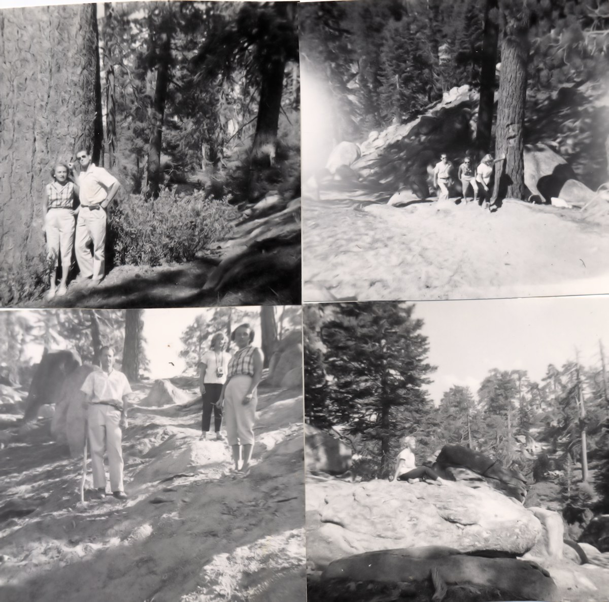 Big Bear, Summer 1956