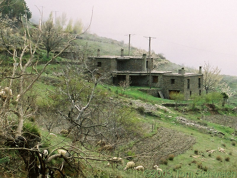 House above the road.