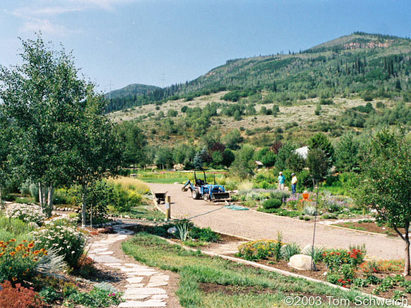 Yampa River Botanic Park in Steamboat Springs