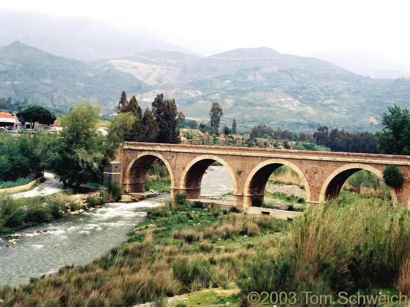 The Rio Guadalfeo near Orgiva.