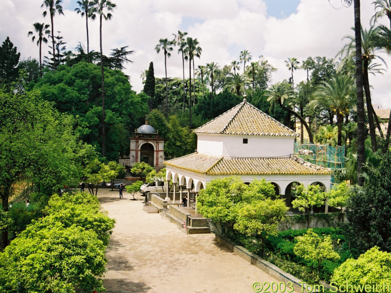 Standard view inside the Alcazar.