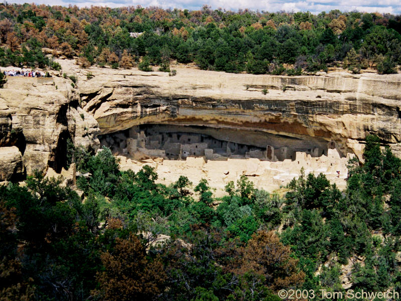 Cliff Palace