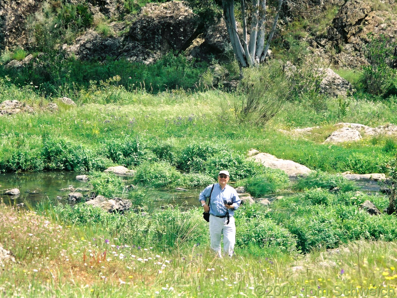 Tom by the Rio Guadiamar