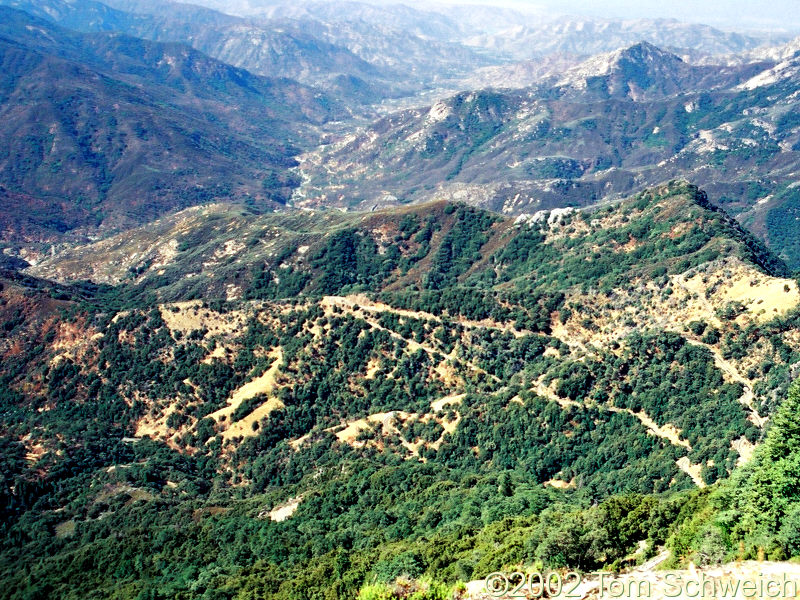 View west from Moro Rock.