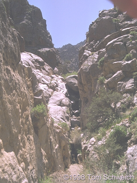 Canyon in the Kingston Mountains.