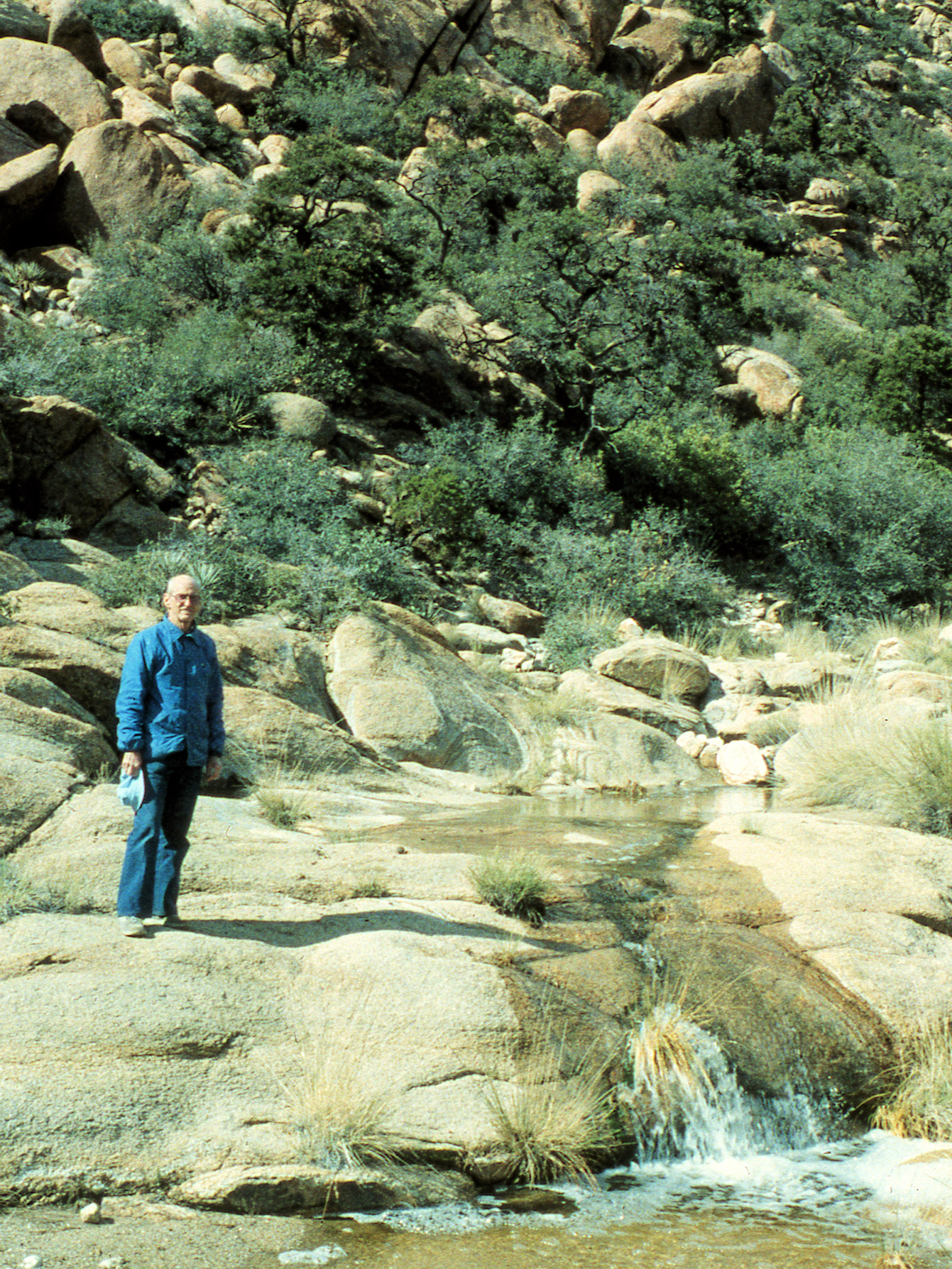 Caruthers Canyon (1987).