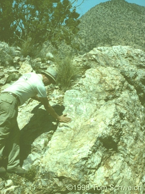 Slickensides near Golden Quail mine.