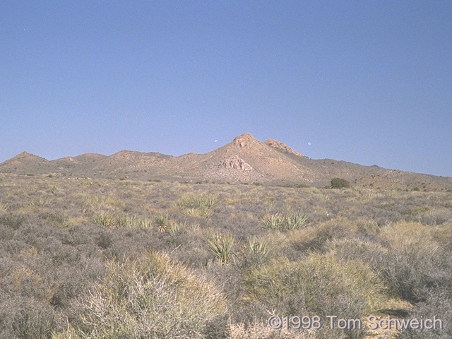 Blackbrush Scrub along Black Canyon Road.